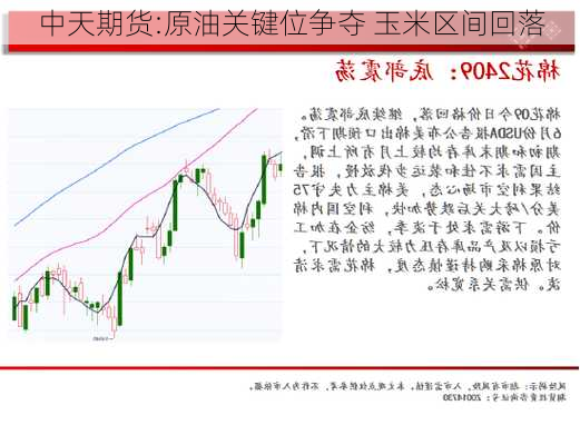 中天期货:原油关键位争夺 玉米区间回落