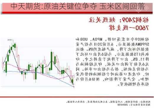 中天期货:原油关键位争夺 玉米区间回落