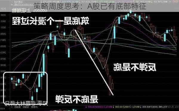 策略周度思考：A股已有底部特征