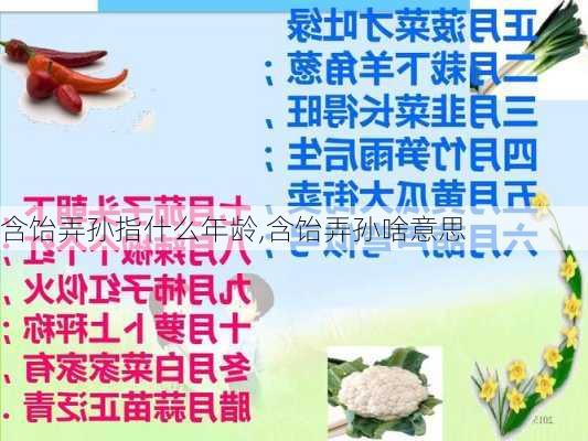 含饴弄孙指什么年龄,含饴弄孙啥意思