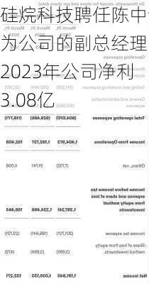 硅烷科技聘任陈中谦为公司的副总经理 2023年公司净利3.08亿