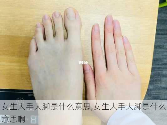 女生大手大脚是什么意思,女生大手大脚是什么意思啊