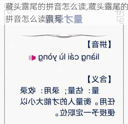 藏头露尾的拼音怎么读,藏头露尾的拼音怎么读音写