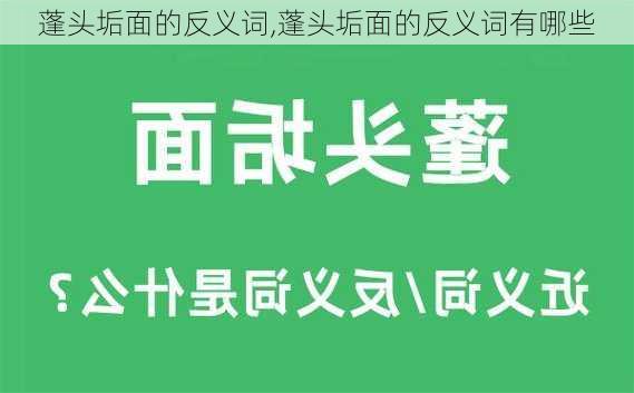 蓬头垢面的反义词,蓬头垢面的反义词有哪些