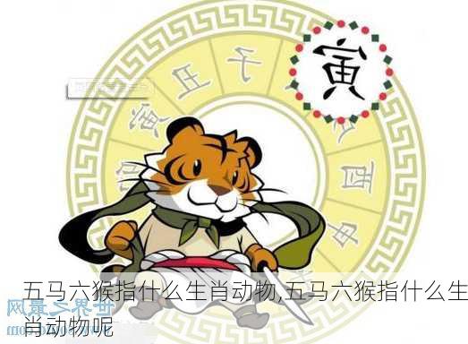 五马六猴指什么生肖动物,五马六猴指什么生肖动物呢