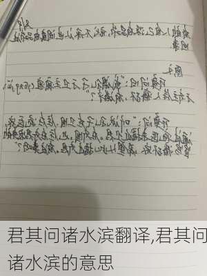 君其问诸水滨翻译,君其问诸水滨的意思