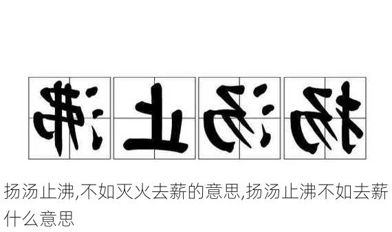 扬汤止沸,不如灭火去薪的意思,扬汤止沸不如去薪什么意思