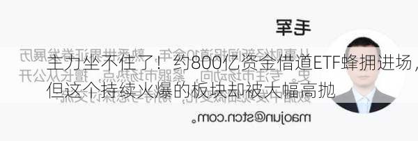 主力坐不住了！约800亿资金借道ETF蜂拥进场，但这个持续火爆的板块却被大幅高抛