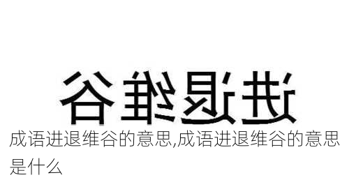 成语进退维谷的意思,成语进退维谷的意思是什么