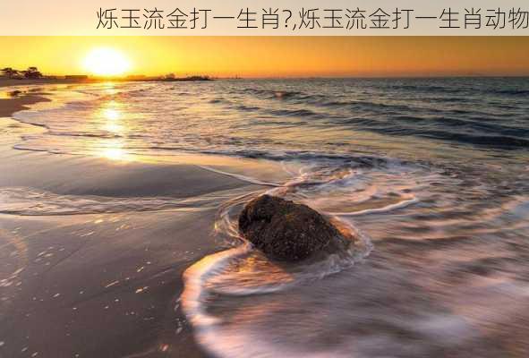 烁玉流金打一生肖?,烁玉流金打一生肖动物