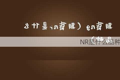 NR是什么品种