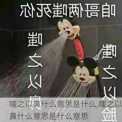 嗤之以鼻什么意思是什么,嗤之以鼻什么意思是什么意思