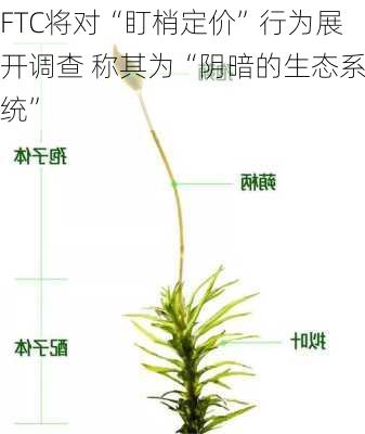 FTC将对“盯梢定价”行为展开调查 称其为“阴暗的生态系统”