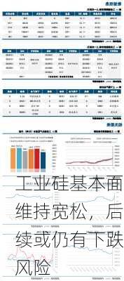 工业硅基本面维持宽松，后续或仍有下跌风险