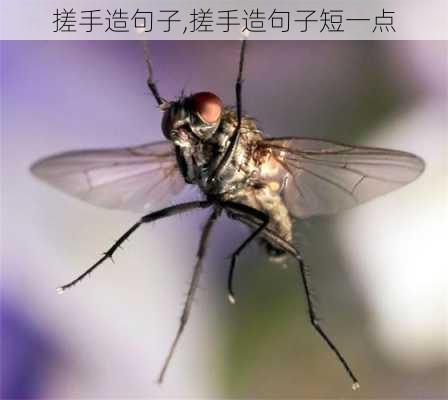 搓手造句子,搓手造句子短一点