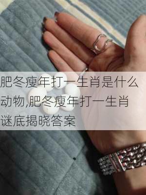 肥冬瘦年打一生肖是什么动物,肥冬瘦年打一生肖谜底揭晓答案