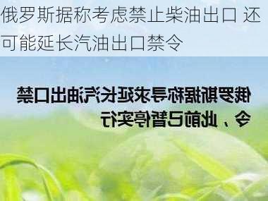 俄罗斯据称考虑禁止柴油出口 还可能延长汽油出口禁令