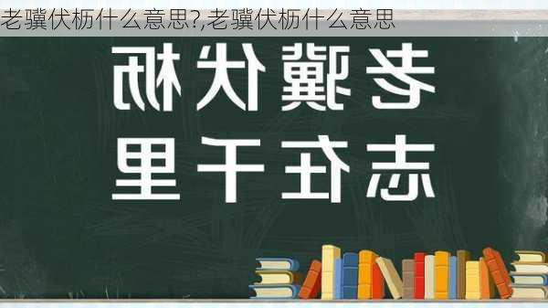 老骥伏枥什么意思?,老骥伏枥什么意思