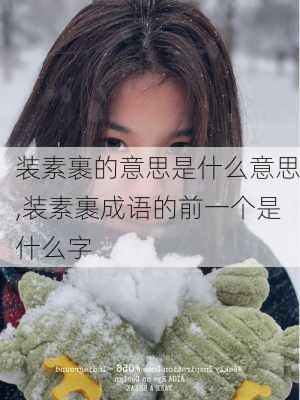 装素裹的意思是什么意思,装素裹成语的前一个是什么字