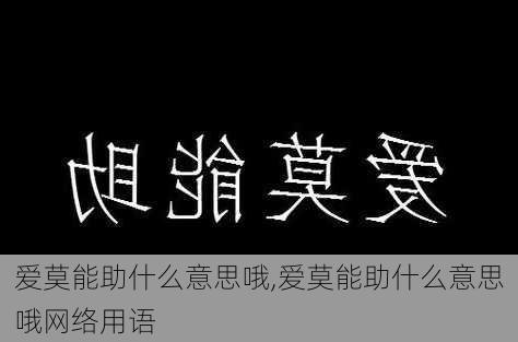 爱莫能助什么意思哦,爱莫能助什么意思哦网络用语