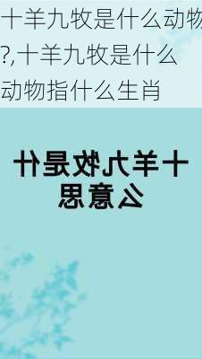 十羊九牧是什么动物?,十羊九牧是什么动物指什么生肖