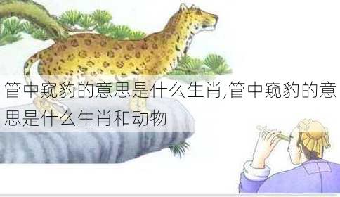 管中窥豹的意思是什么生肖,管中窥豹的意思是什么生肖和动物