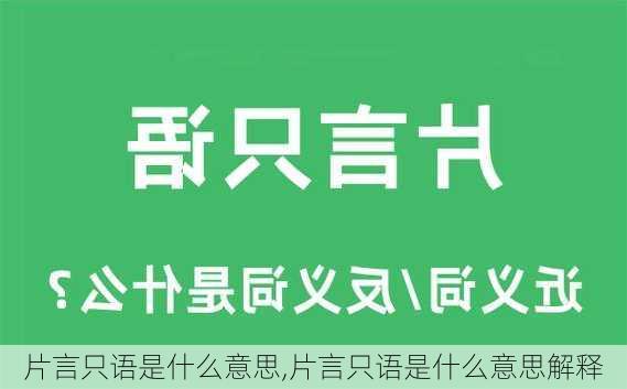 片言只语是什么意思,片言只语是什么意思解释