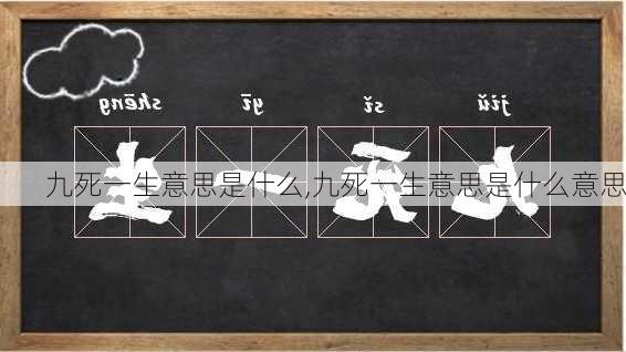 九死一生意思是什么,九死一生意思是什么意思