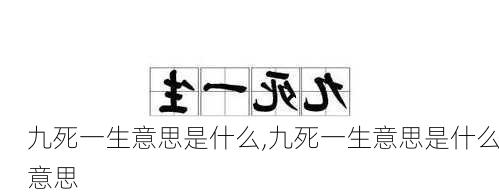 九死一生意思是什么,九死一生意思是什么意思