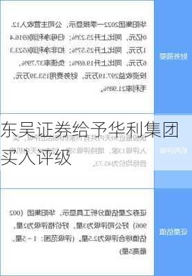 东吴证券给予华利集团买入评级