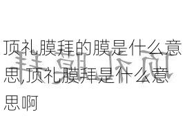 顶礼膜拜的膜是什么意思,顶礼膜拜是什么意思啊