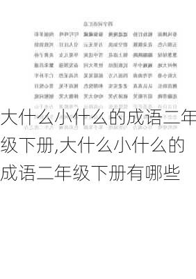 大什么小什么的成语二年级下册,大什么小什么的成语二年级下册有哪些