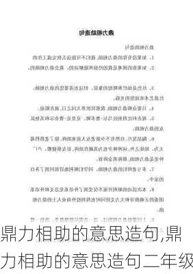 鼎力相助的意思造句,鼎力相助的意思造句二年级