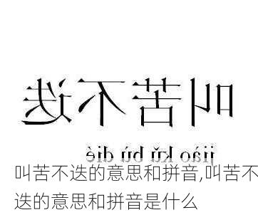 叫苦不迭的意思和拼音,叫苦不迭的意思和拼音是什么