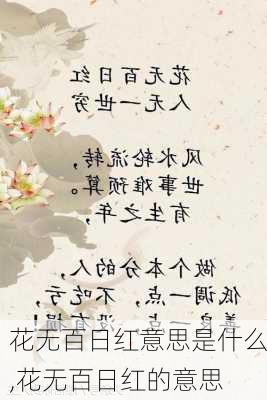 花无百日红意思是什么,花无百日红的意思