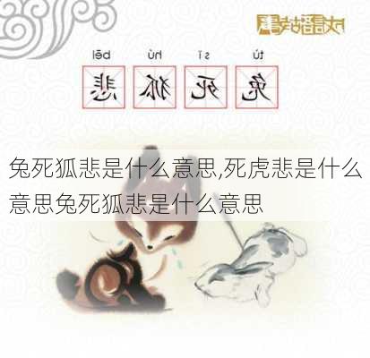 兔死狐悲是什么意思,死虎悲是什么意思兔死狐悲是什么意思