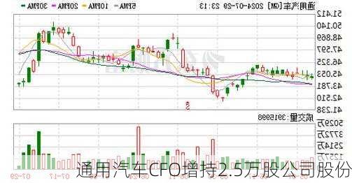 通用汽车CFO增持2.5万股公司股份