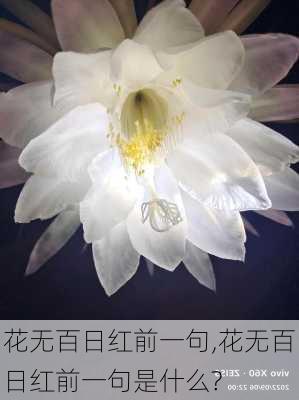 花无百日红前一句,花无百日红前一句是什么?