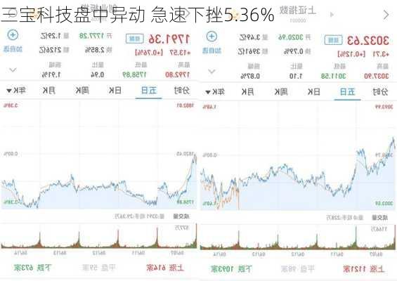 三宝科技盘中异动 急速下挫5.36%