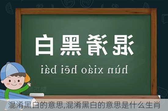 混淆黑白的意思,混淆黑白的意思是什么生肖