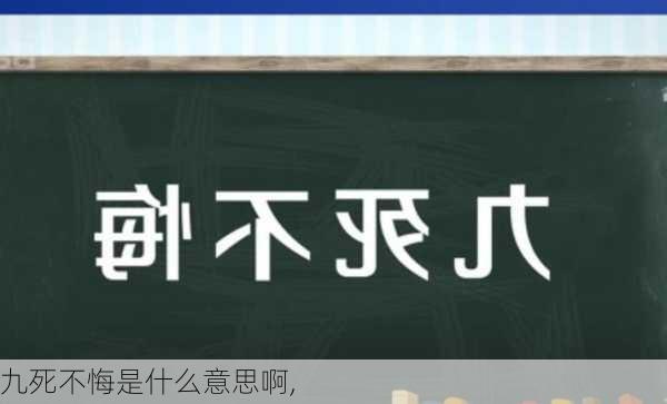 九死不悔是什么意思啊,