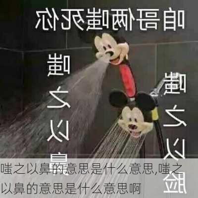 嗤之以鼻的意思是什么意思,嗤之以鼻的意思是什么意思啊