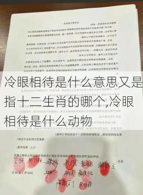 冷眼相待是什么意思又是指十二生肖的哪个,冷眼相待是什么动物