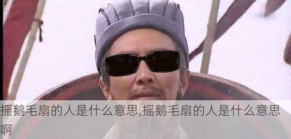 摇鹅毛扇的人是什么意思,摇鹅毛扇的人是什么意思啊