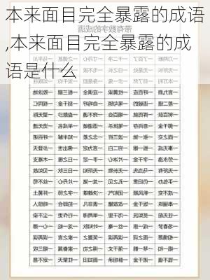 本来面目完全暴露的成语,本来面目完全暴露的成语是什么