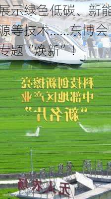 展示绿色低碳、新能源等技术……东博会专题“焕新”！