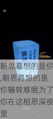 朝思暮想的是你,朝思暮想的是你辗转难眠为了你在这相思深夜里