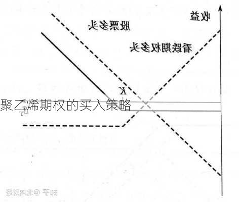 聚乙烯期权的买入策略