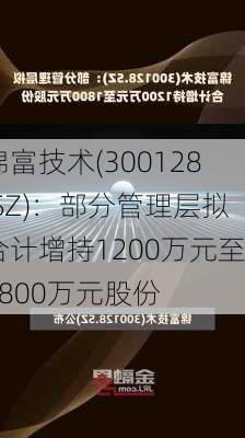 锦富技术(300128.SZ)：部分管理层拟合计增持1200万元至1800万元股份