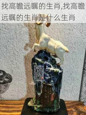 找高瞻远瞩的生肖,找高瞻远瞩的生肖是什么生肖